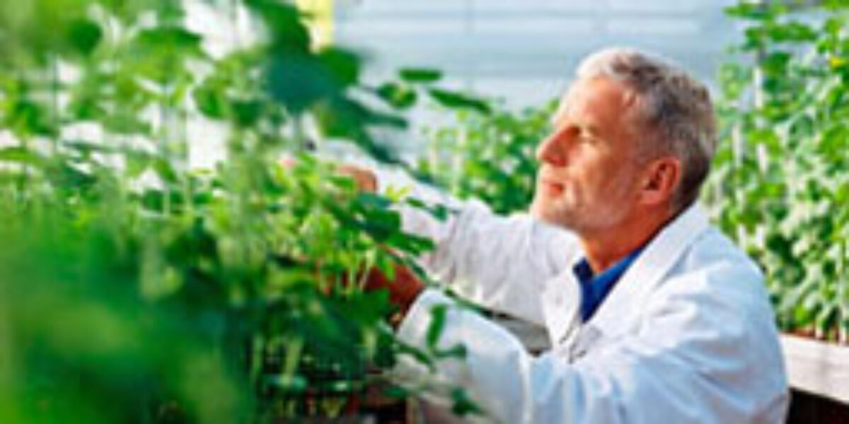 Biotechnology: Innovation, Solution and Political Hurdles